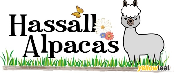 Hassall Alpacas